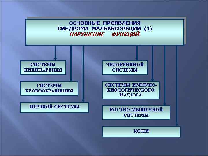 ОСНОВНЫЕ ПРОЯВЛЕНИЯ СИНДРОМА МАЛЬАБСОРБЦИИ (1) НАРУШЕНИЕ ФУНКЦИЙ: СИСТЕМЫ ПИЩЕВАРЕНИЯ ЭНДОКРИННОЙ СИСТЕМЫ КРОВООБРАЩЕНИЯ СИСТЕМЫ ИММУНОБИОЛОГИЧЕСКОГО