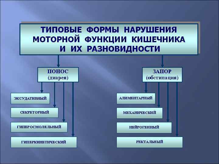 Виды поносила