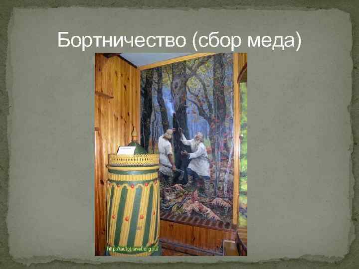 Бортничество (сбор меда) 