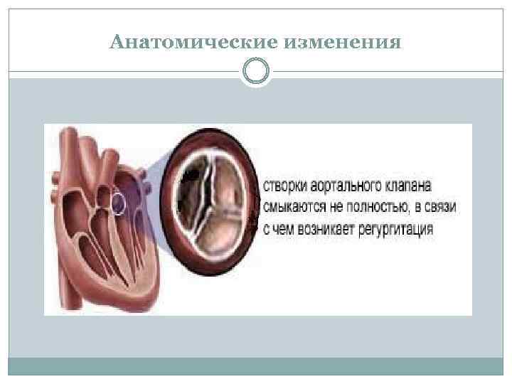Анатомические изменения 