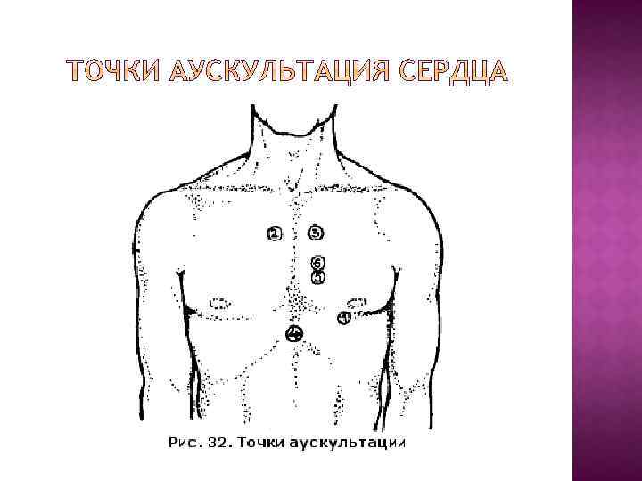 Аускультация сердца картинки