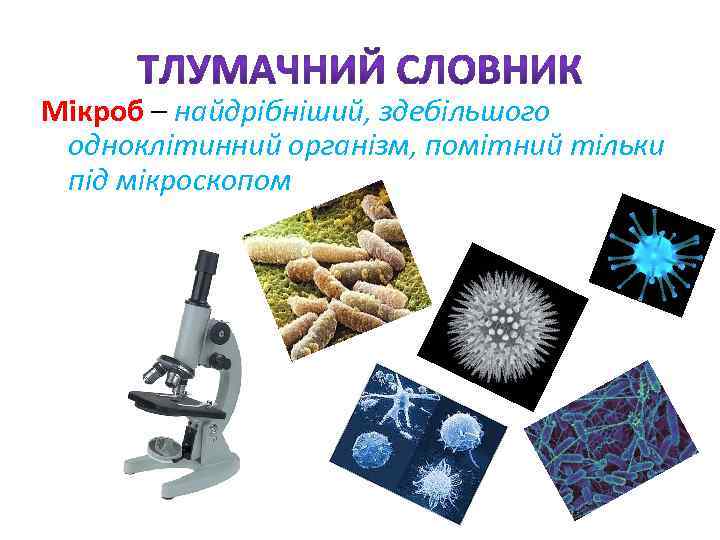 Мікроб – найдрібніший, здебільшого одноклітинний організм, помітний тільки під мікроскопом 