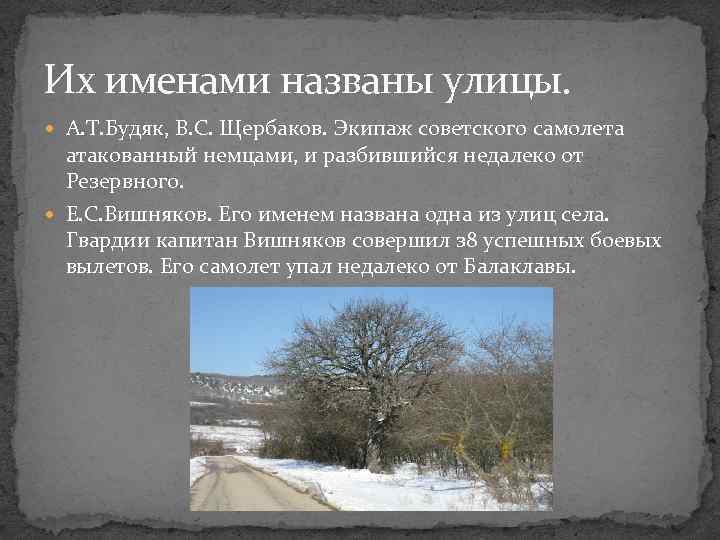 Их именами названы улицы. А. Т. Будяк, В. С. Щербаков. Экипаж советского самолета атакованный