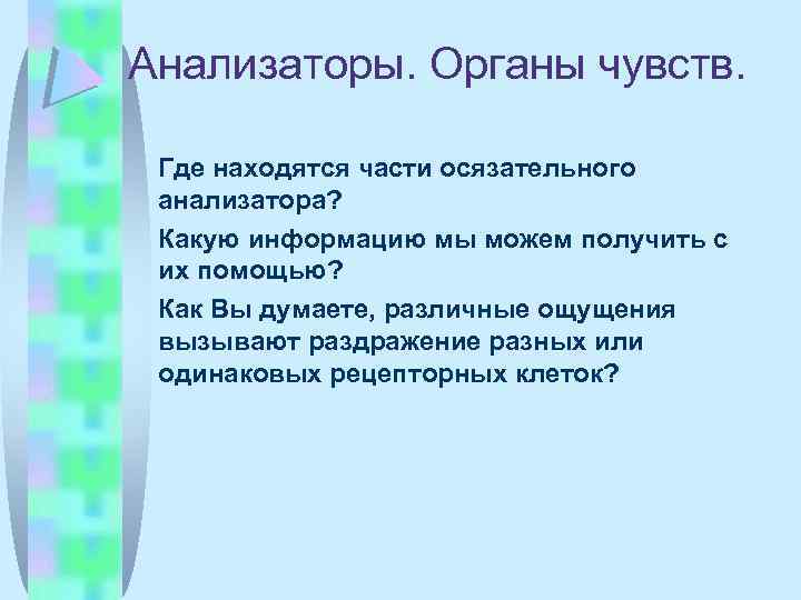Анализаторы. Органы чувств. Где находятся части осязательного анализатора? Какую информацию мы можем получить с