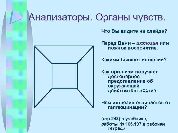 Анализаторы. Органы чувств. Что Вы видите на слайде? Перед Вами – иллюзия или ложное