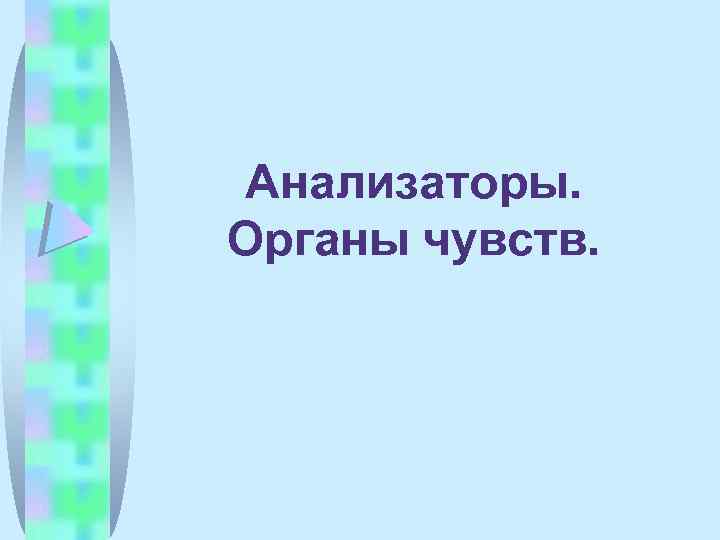 Анализаторы. Органы чувств. 
