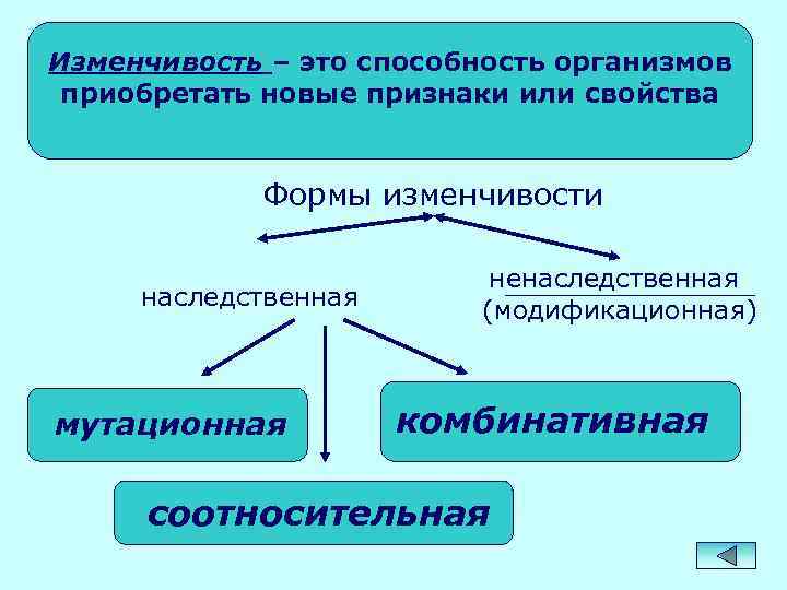 Установите соответствие наследственная изменчивость