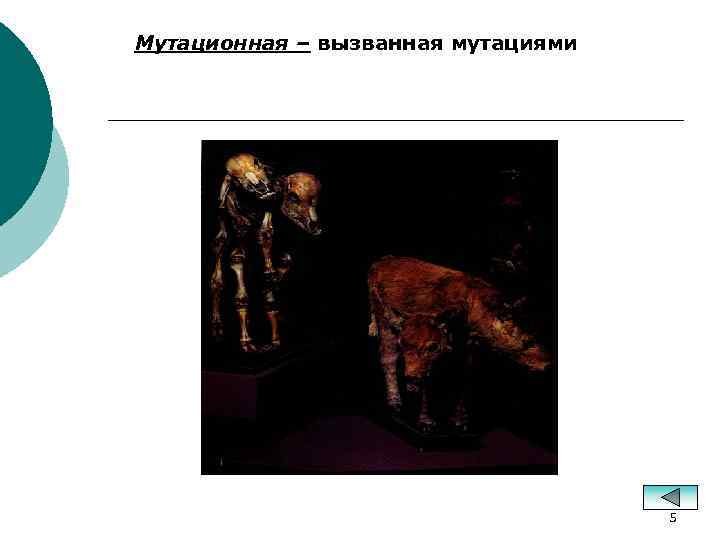Мутационная – вызванная мутациями 5 