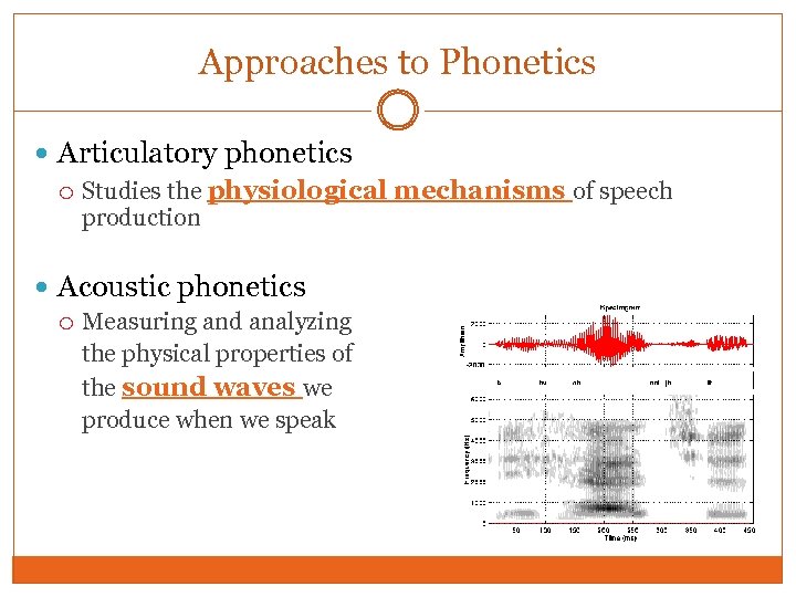 Approaches to Phonetics Articulatory phonetics Studies the physiological mechanisms of speech production Acoustic phonetics