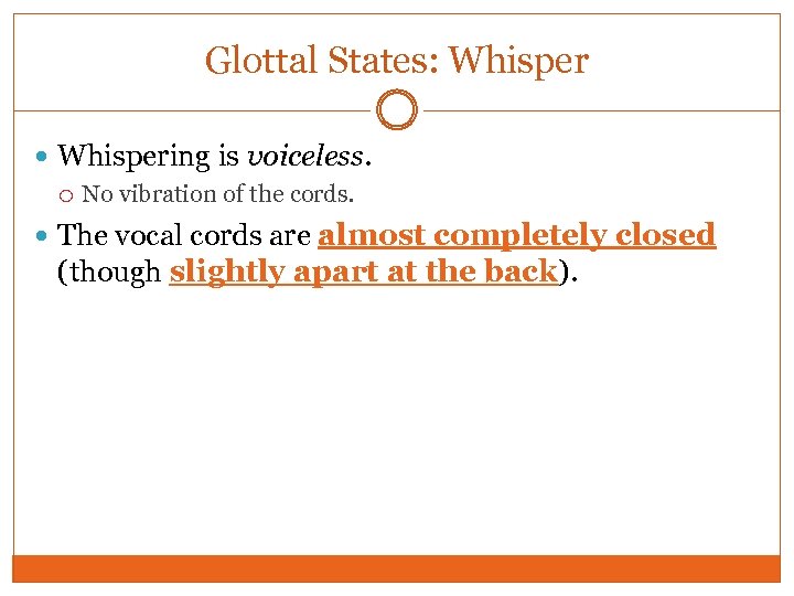 Glottal States: Whispering is voiceless. No vibration of the cords. The vocal cords are