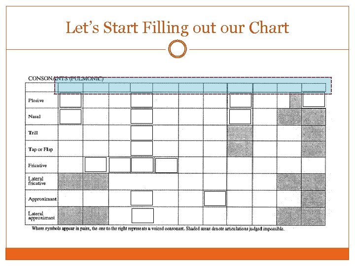 Let’s Start Filling out our Chart 