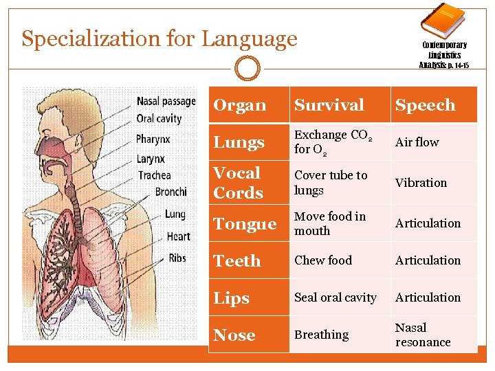 Specialization for Language Contemporary Linguistics Analysis: p. 14 -15 Organ Survival Speech Lungs Exchange