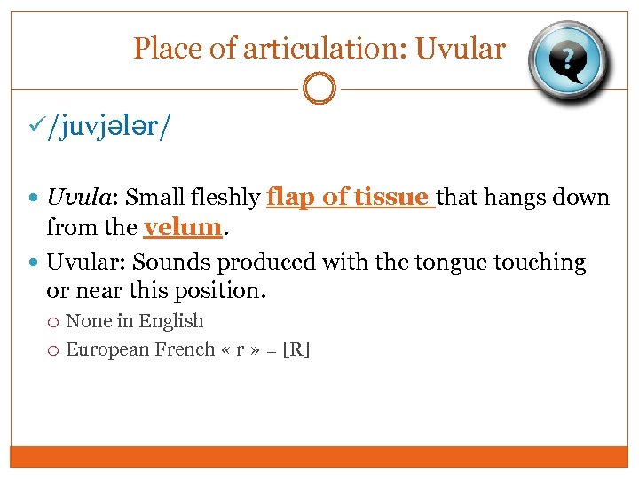 Place of articulation: Uvular /juvjələr/ Uvula: Small fleshly flap of tissue that hangs down