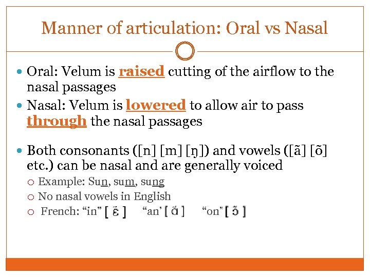 Manner of articulation: Oral vs Nasal Oral: Velum is raised cutting of the airflow