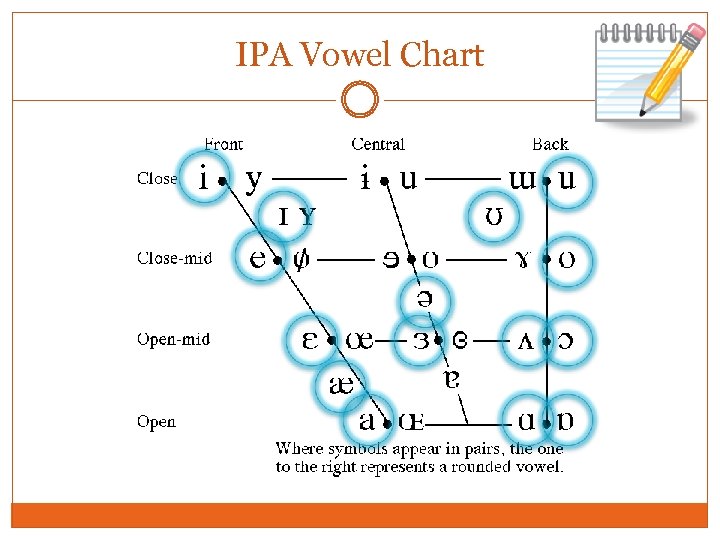 IPA Vowel Chart 