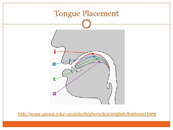 Tongue Placement http: //www. uiowa. edu/~acadtech/phonetics/english/frameset. html 
