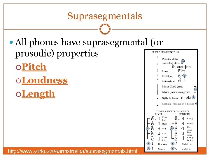 Suprasegmentals All phones have suprasegmental (or prosodic) properties Pitch Loudness Length http: //www. yorku.