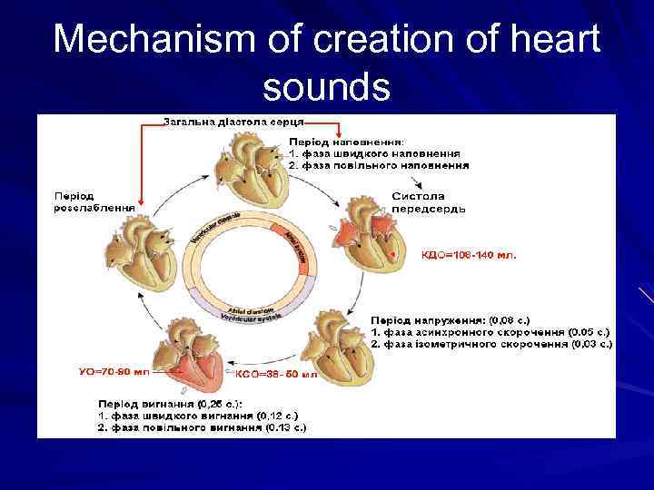 Mechanism of creation of heart sounds 