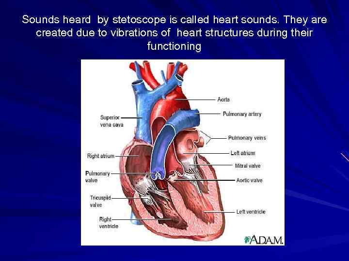 Sounds heard by stetoscope is called heart sounds. They are created due to vibrations