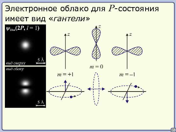 Электронное облако для имеет вид «гантели» P-состояния 25 