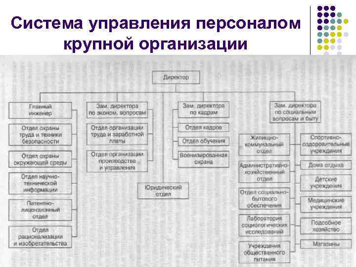 Система управления персоналом крупной организации 24 