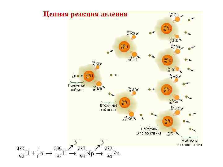Цепная реакция деления 
