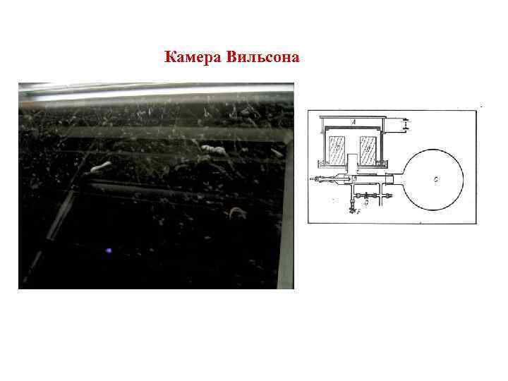 Камера Вильсона 