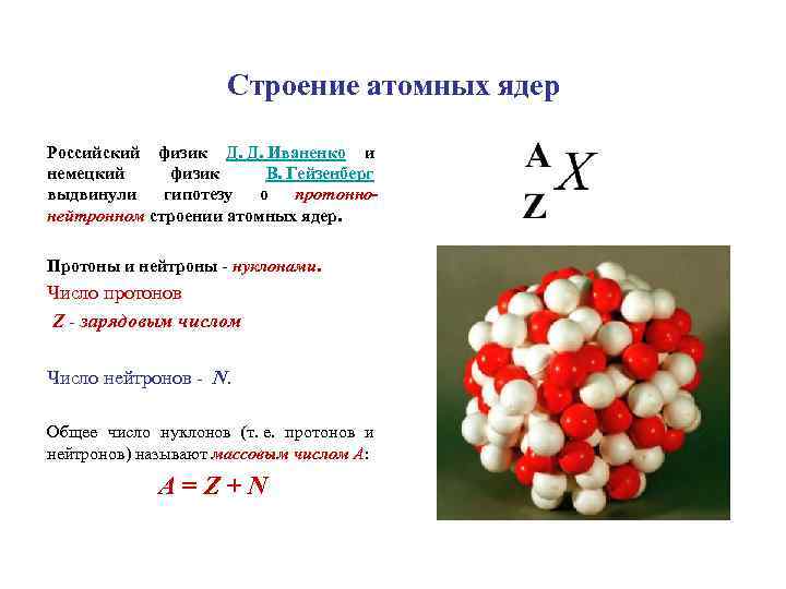 Строение атомных ядер Российский физик Д. Д. Иваненко и немецкий физик В. Гейзенберг выдвинули