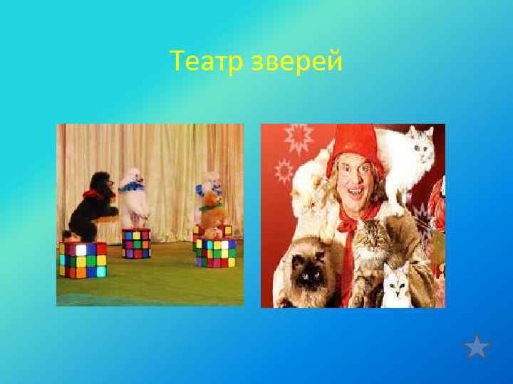 Театр зверей 