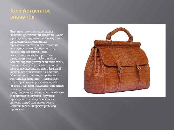 Хозяйственное значение Значение пресмыкающихся для человека сравнительно невелико. Кожа крокодилов, крупных змей и ящериц