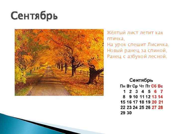 Сентябрь Жёлтый лист летит как птичка, На урок спешит Лисичка. Новый ранец за спиной,