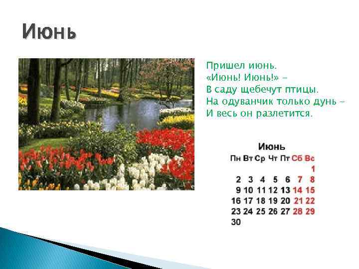 Июнь Пришел июнь. «Июнь!» В саду щебечут птицы. На одуванчик только дунь И весь