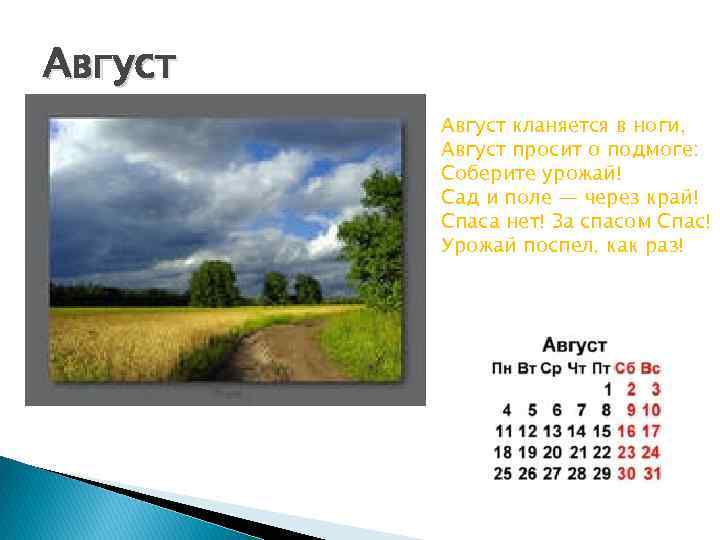 Август кланяется в ноги, Август просит о подмоге: Соберите урожай! Сад и поле —