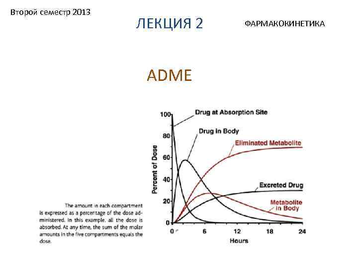 Второй семестр 2013 ЛЕКЦИЯ 2 ADME ФАРМАКОКИНЕТИКА 