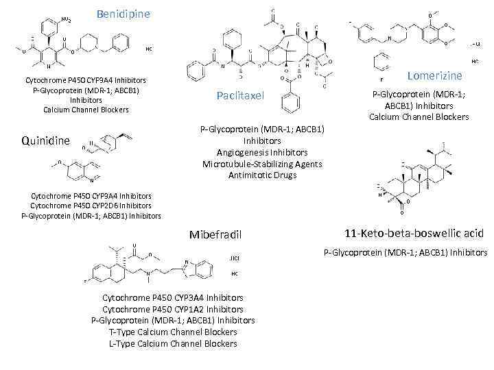 Benidipine Cytochrome P 450 CYP 3 A 4 Inhibitors P Glycoprotein (MDR 1; ABCB