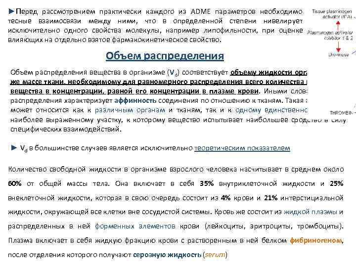 ►Перед рассмотрением практически каждого из ADME параметров необходимо учитывать тесные взаимосвязи между ними, что