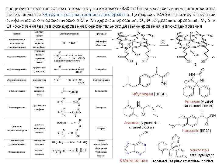 специфика строения состоит в том, что у цитохромов P 450 стабильным аксиальным лигандом иона