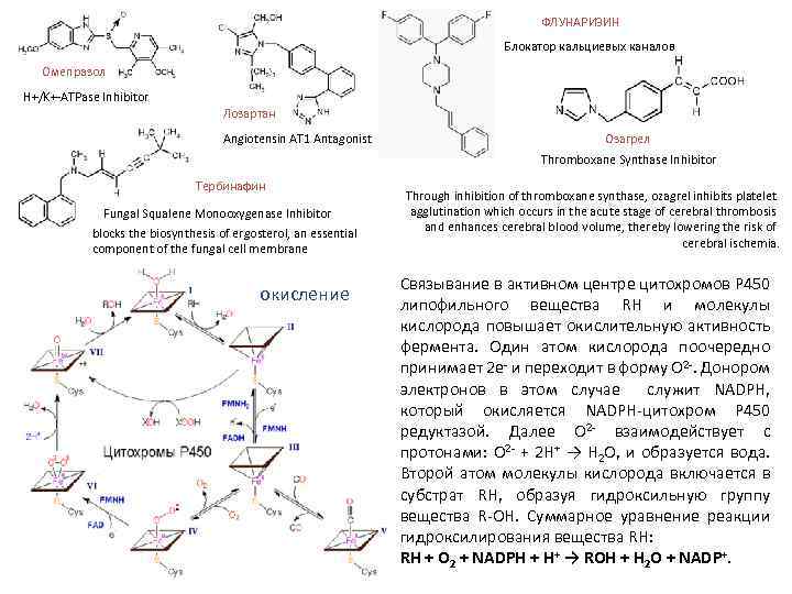 ФЛУНАРИЗИН Блокатор кальциевых каналов Омепразол H+/K+ ATPase Inhibitor Лозартан Angiotensin AT 1 Antagonist Озагрел