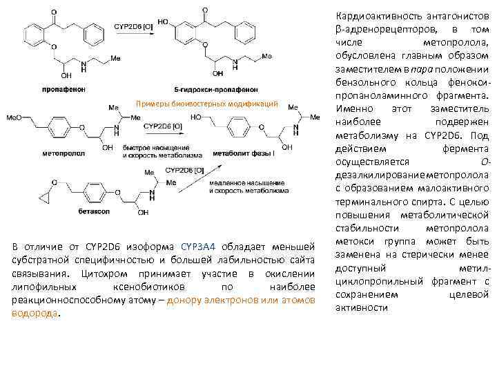 Примеры биоизостерных модификаций В отличие от CYP 2 D 6 изоформа CYP 3 А