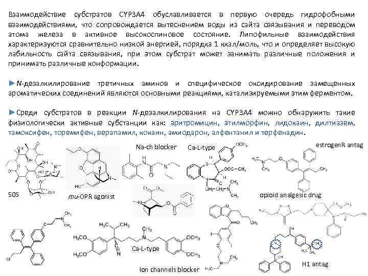 Характеристика гидрофобных связей