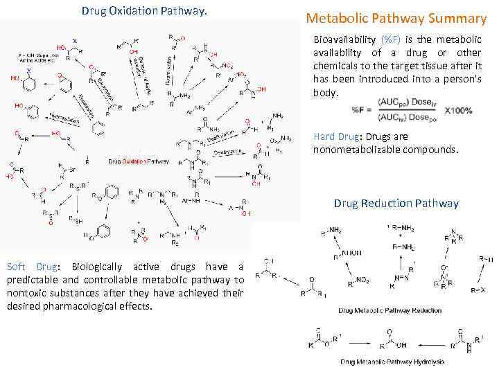 Drug Oxidation Pathway. Metabolic Pathway Summary Bioavailability (%F) is the metabolic availability of a