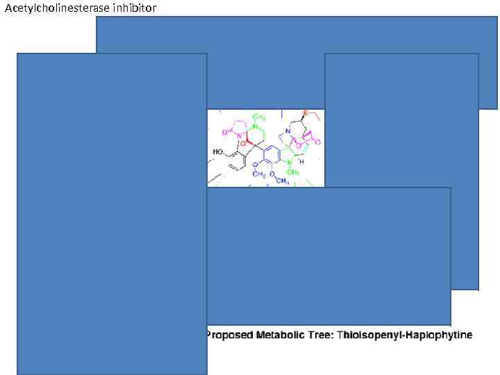 Acetylcholinesterase inhibitor 