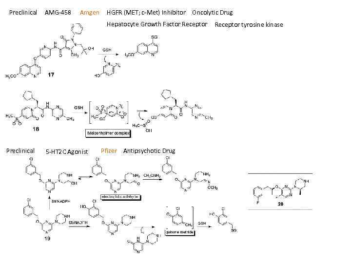 Preclinical AMG 458 Amgen HGFR (MET; c Met) Inhibitor Oncolytic Drug Hepatocyte Growth Factor