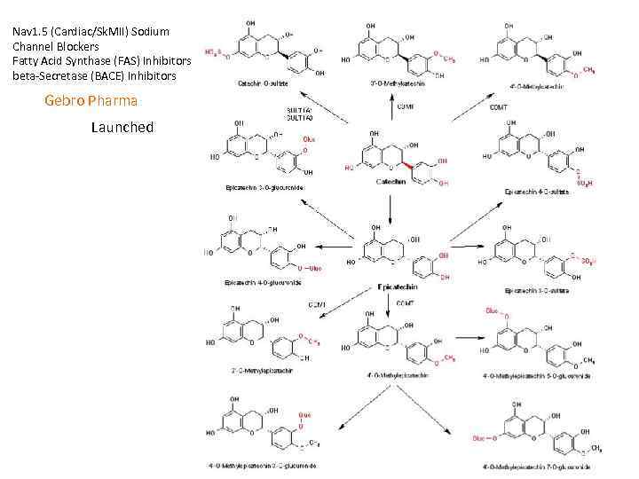 Nav 1. 5 (Cardiac/Sk. MII) Sodium Channel Blockers Fatty Acid Synthase (FAS) Inhibitors beta