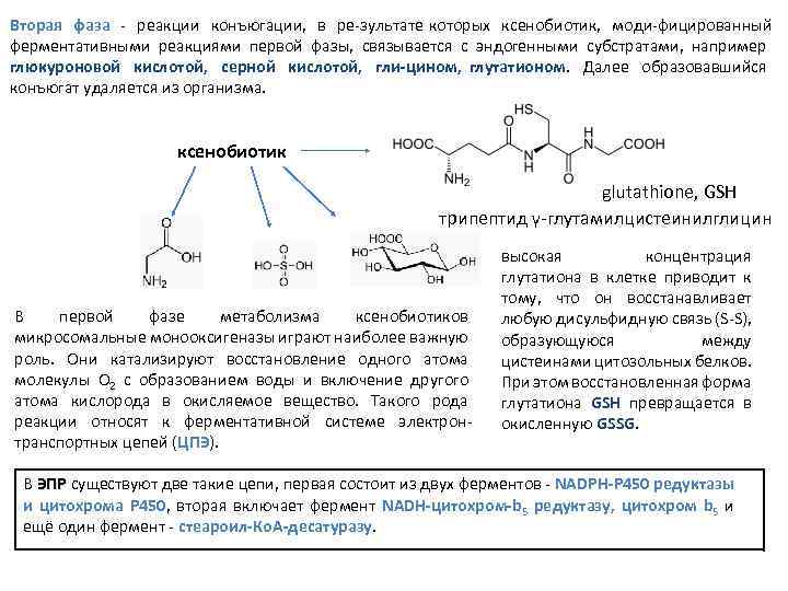 Ферменты скорость химических реакций. Реакции конъюгации биохимия механизм. Основные типы ферментов катализирующих реакции конъюгации. Вторая фаза обезвреживания веществ — реакции конъюгации. У детей до 3 лет снижена скорость реакции конъюгации с.