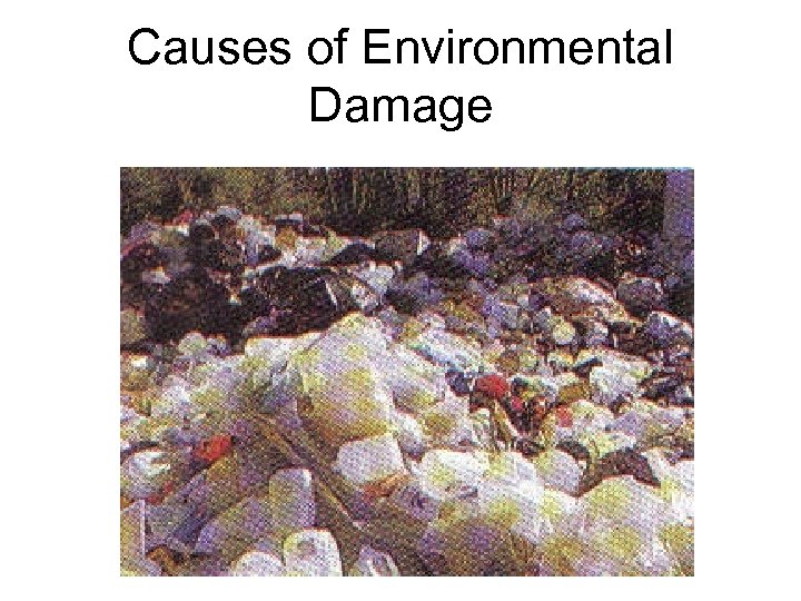 Causes of Environmental Damage 