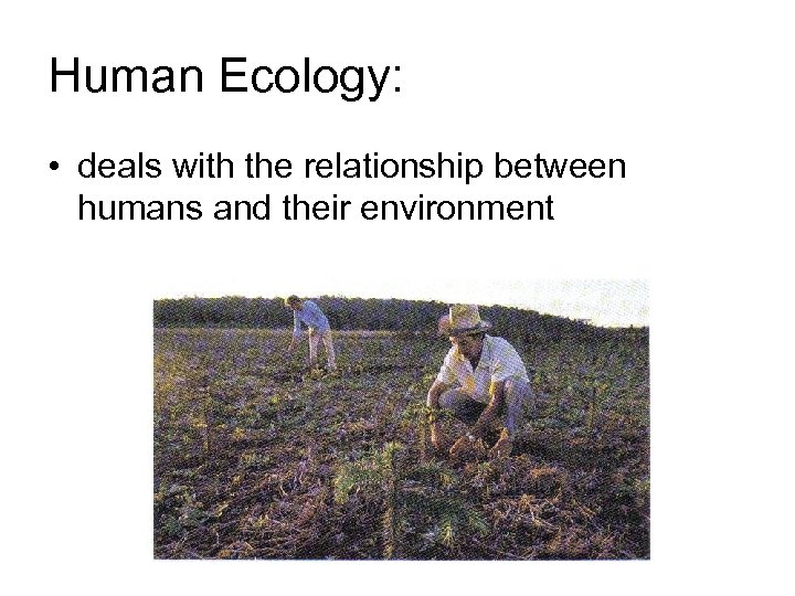 Human Ecology: • deals with the relationship between humans and their environment 