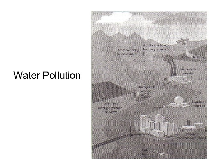 Water Pollution 