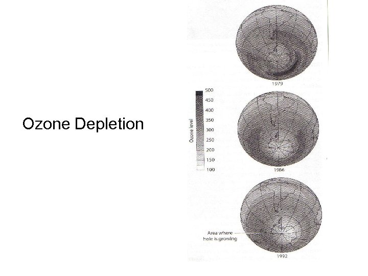 Ozone Depletion 