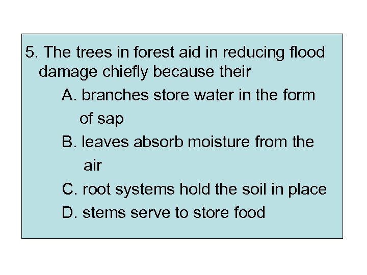 5. The trees in forest aid in reducing flood damage chiefly because their A.